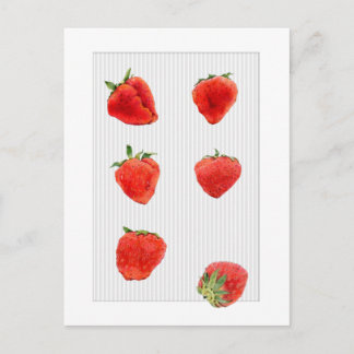 Erdbeeren Fallende graue Streifen Postkarte