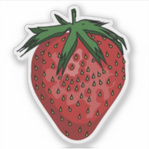 Erdbeeren-Frucht-Illustration