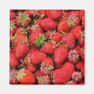 Erdbeeren Magnet