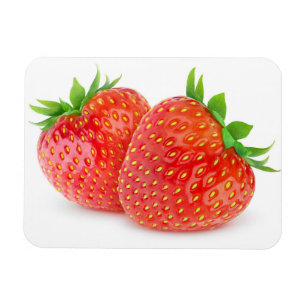Erdbeeren Magnet