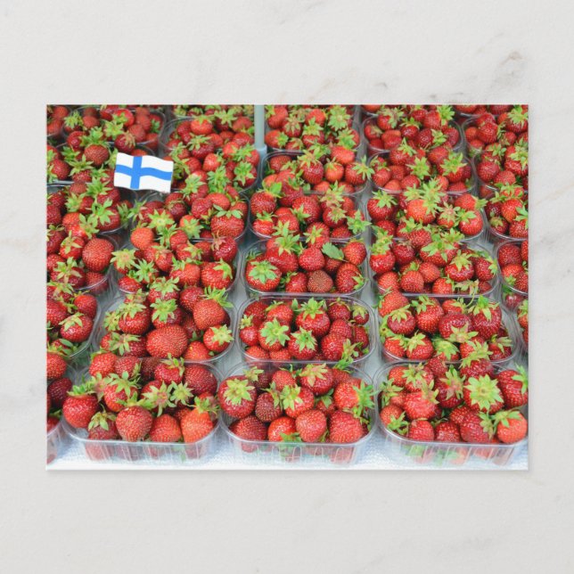 Erdbeeren, Marktplatz, Helsinki, Finnland Postkarte (Vorderseite)