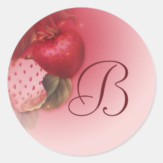 Erdbeeren Mit Monogramm rosa Klassischer Rundaufkl Runder Aufkleber