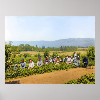 Erdbeeren pflücken Hood River Valley Oregon 1920er Poster