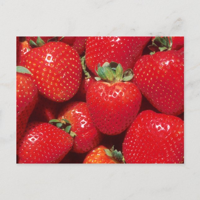 Erdbeeren Postkarte (Vorderseite)