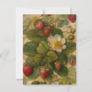 Erdbeeren Postkarte