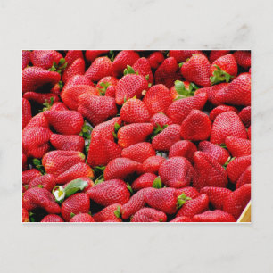 Erdbeeren Postkarte
