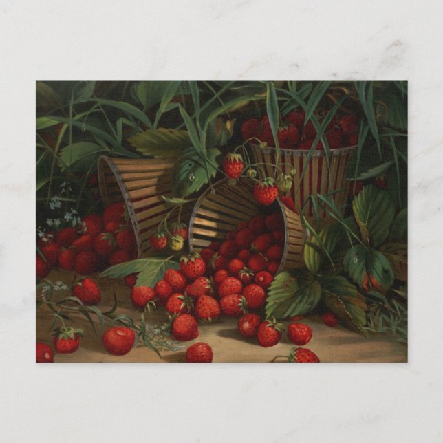 Erdbeeren Postkarte (Vorderseite)