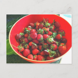 Erdbeeren Postkarte