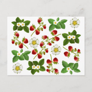 Erdbeeren Postkarte