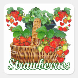 Erdbeeren, reifen ~ Square Sticker