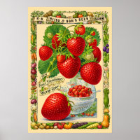 Erdbeeren Retro viktorianische Ära Botanische Kuns