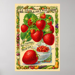 Erdbeeren Retro viktorianische Ära Botanische Kuns Poster