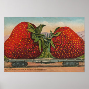 Erdbeeren Riesen Antik Obst Spaß Poster