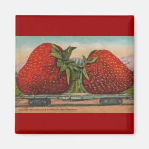 Erdbeeren Riesenalter Fruchtspass Magnet