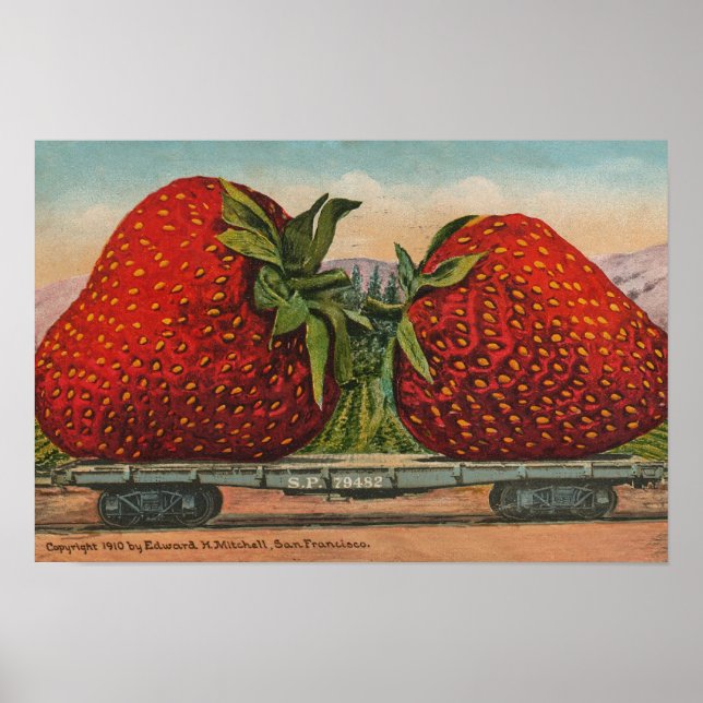 Erdbeeren Riesenalter Fruchtspass Poster (Vorne)
