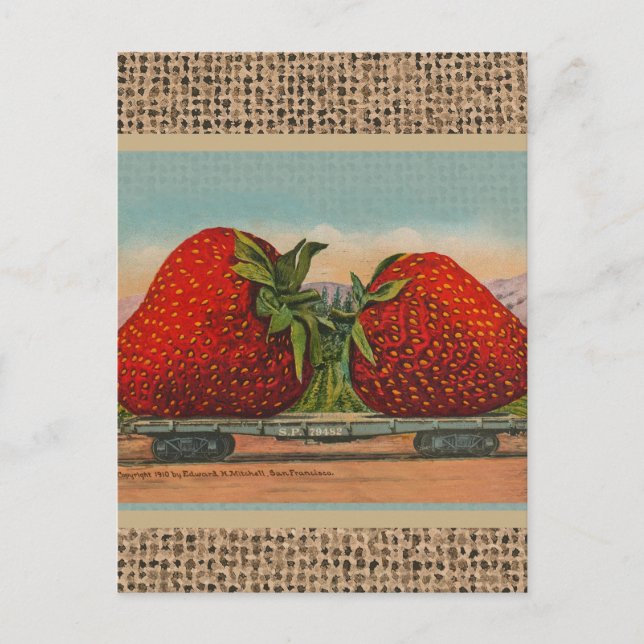Erdbeeren Riesenalter Fruchtspass Postkarte (Vorderseite)