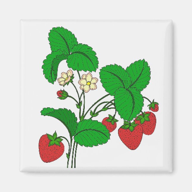 Erdbeeren zum Frühstück Magnet (Vorne)