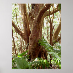 Erdbeerguave-Baum und Palmen Poster