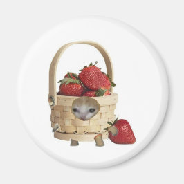 Erdbeerkorb Katze  Magnet