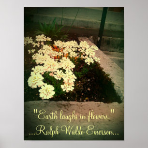Erde lacht in den Blumen Poster