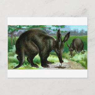 Erdferkel Postkarte