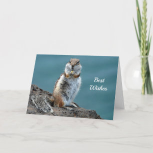 Erdhörnchen Gratulations-Hochzeitskarte Karte