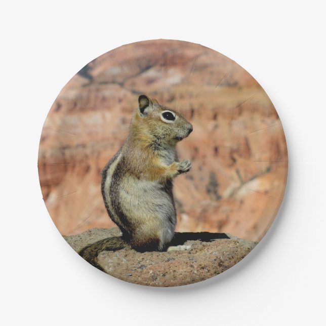 Erdhörnchen mit goldener Mantel Pappteller (Vorderseite)