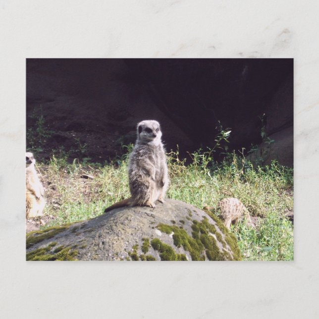 Erdmann Postkarte (Vorderseite)