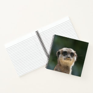 Erdmännchen 068 notizbuch