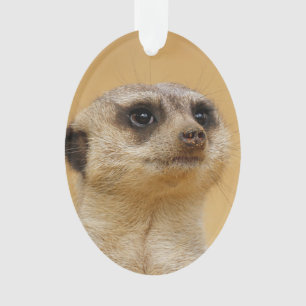 Erdmännchen 2014-1101 ornament