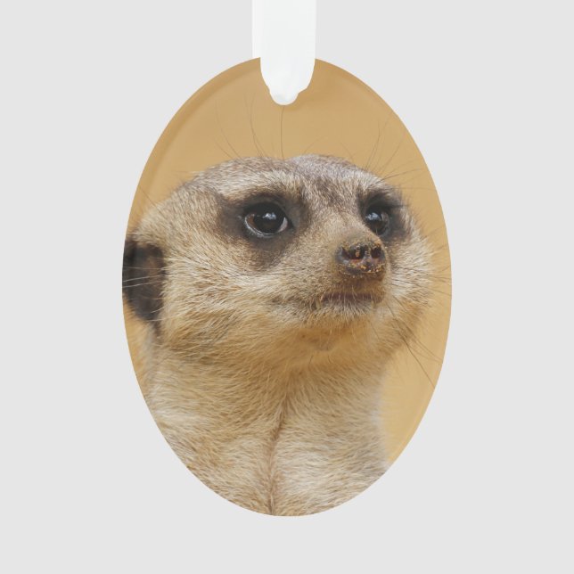 Erdmännchen 2014-1101 ornament (Vorderseite)