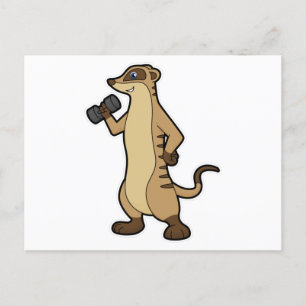 Erdmännchen beim Krafttraining mit Kurzhantel Postkarte