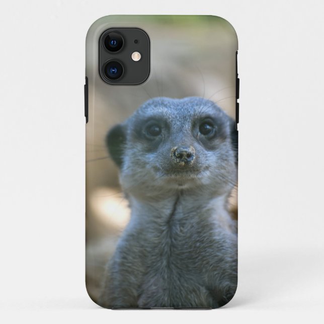 Erdmännchen Case-Mate iPhone Hülle (Rückseite)