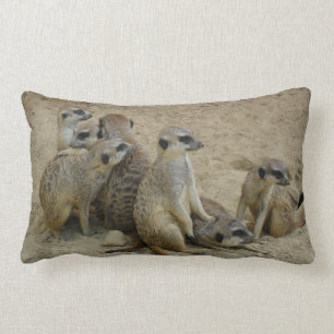 Erdmännchen Familie als Dekokissen
