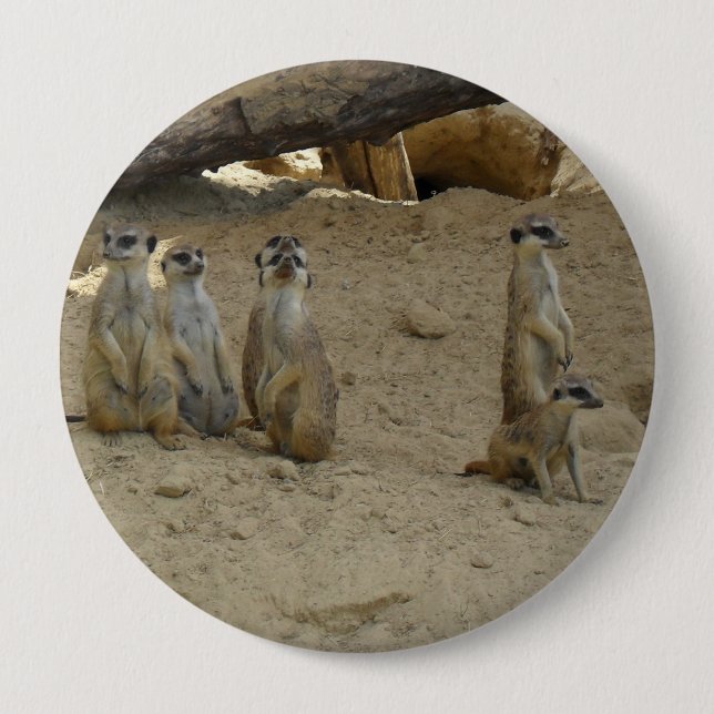 Erdmännchen Familie Button (Vorderseite)