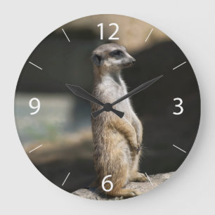 Erdmännchen Große Wanduhr