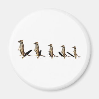 Erdmännchen in Reihe Magnet