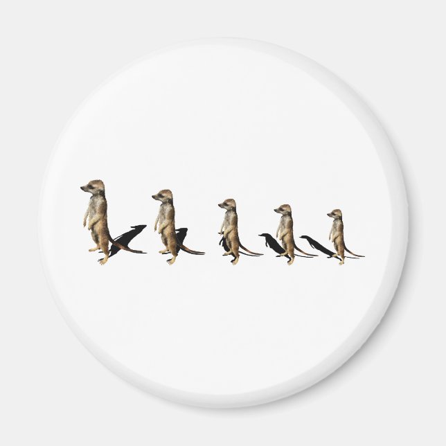 Erdmännchen in Reihe Magnet (Vorne)