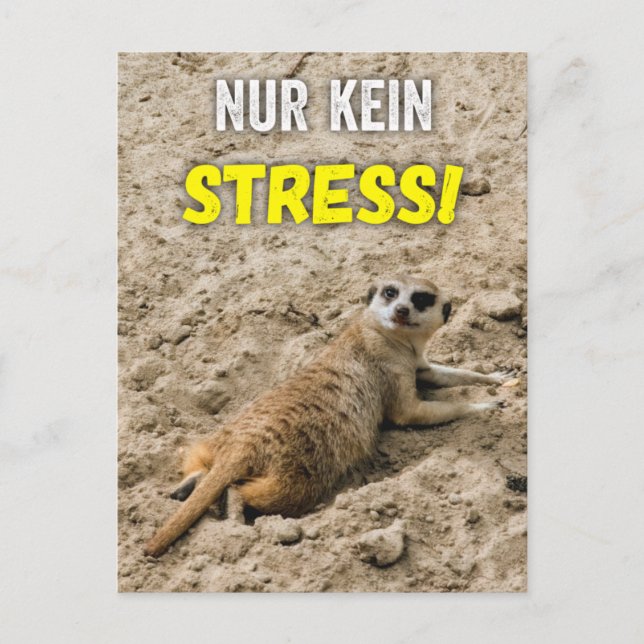 Erdmännchen-Postkarte ‚Nur kein Stress!‘ Postkarte (Vorderseite)