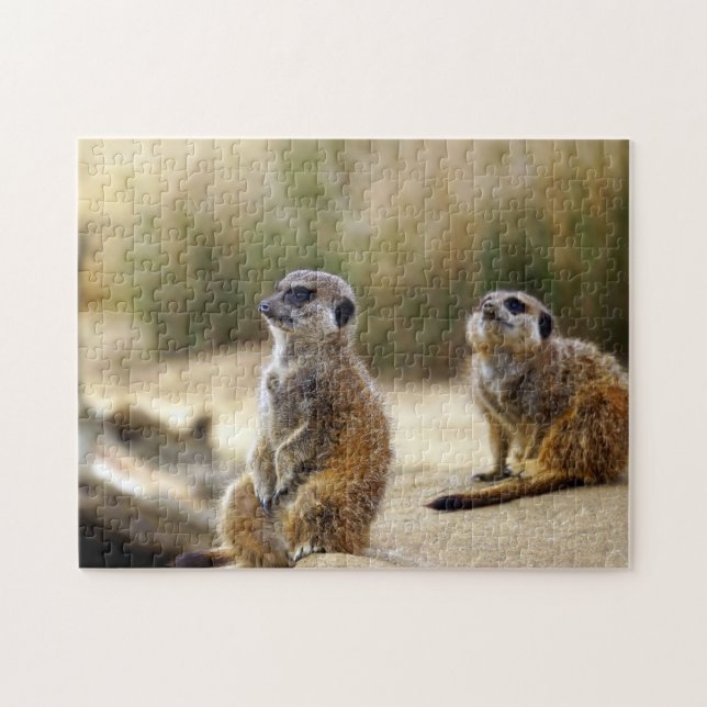 Erdmännchen. Puzzle (Horizontal)