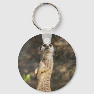 Erdmännchen Schlüsselanhänger