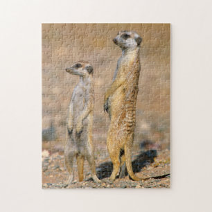 Erdmännchen (Suricata Suricatta) Wachtposten, Kara Puzzle