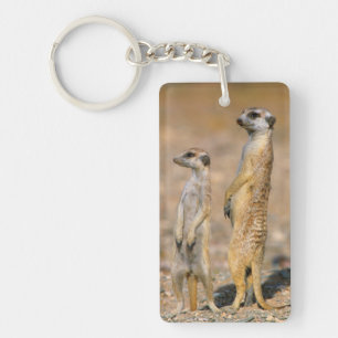 Erdmännchen (Suricata Suricatta) Wachtposten, Kara Schlüsselanhänger