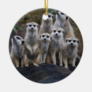 Erdmännchen Tier Safari Afrika Süße Suricate Keramik Ornament