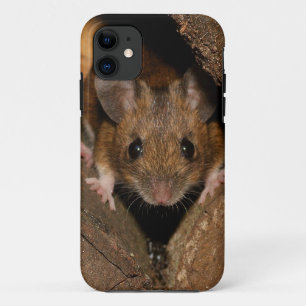 Erdnuss die hölzerne Maus Case-Mate iPhone Hülle