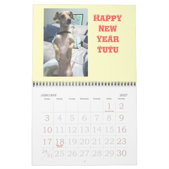 Erdnuss in Chiweenie Kalender (Jan 2027)