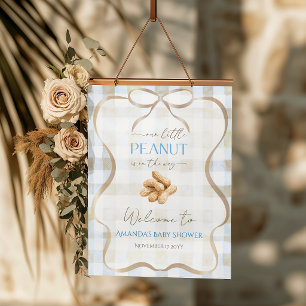 Erdnuss-Junge Blau Gingham-Baby-Party Willkommen Poster