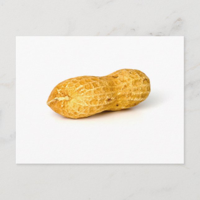 Erdnuss Postkarte (Vorderseite)