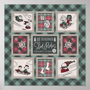 Erdnüsse   Alt modisches Schlittelwegmuster Poster