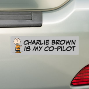 Erdnüsse   Charlie Brown Autoaufkleber